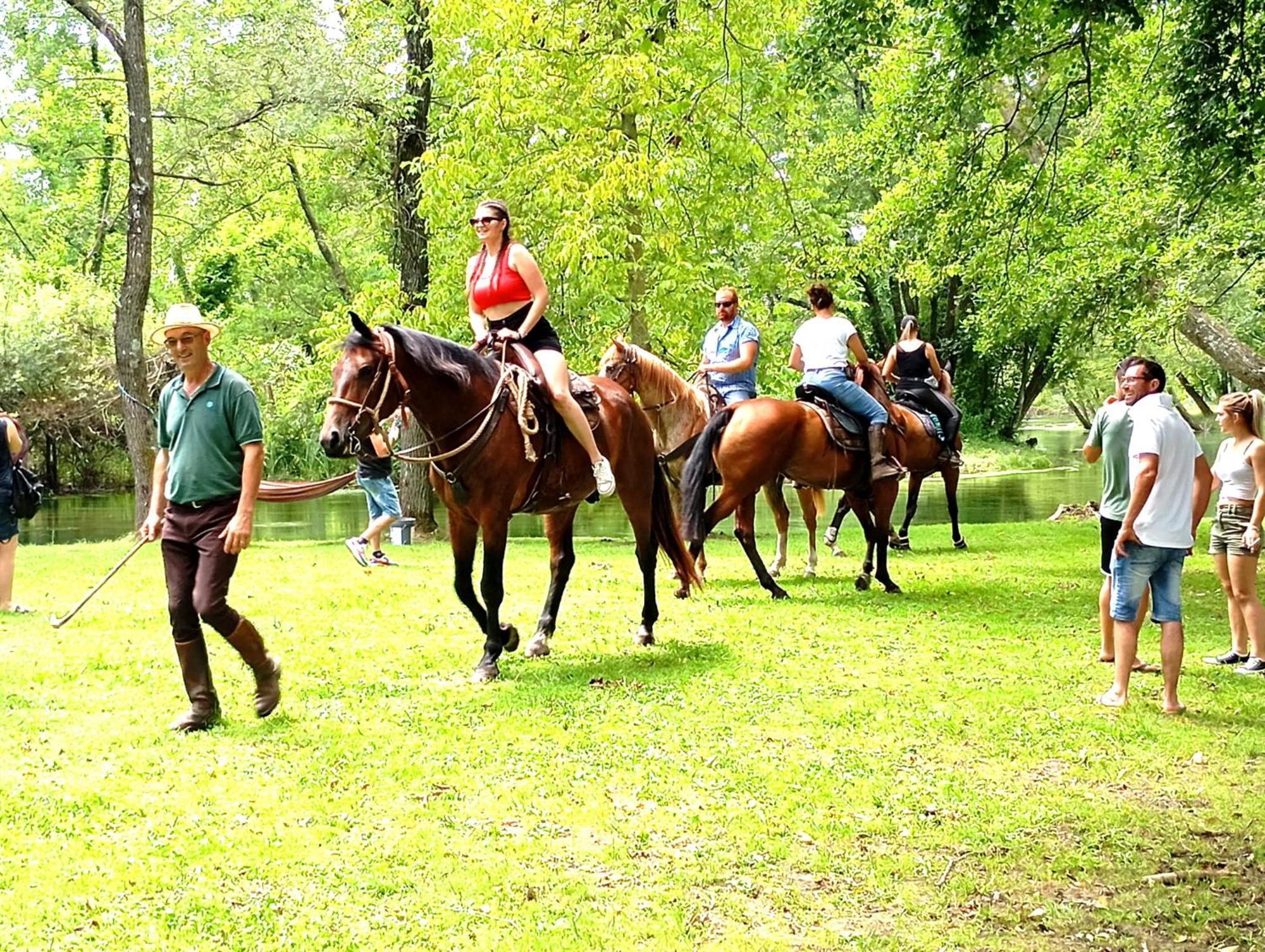 La Regina Del Bosco Villa Rivignano ภายนอก รูปภาพ